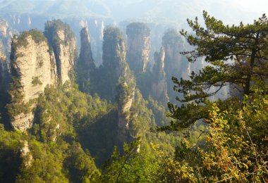 Zhangjiajie Milli Parkı, Çin. Avatar dağlar