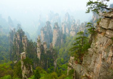 Zhangjiajie Milli Parkı, Çin. Avatar dağlar
