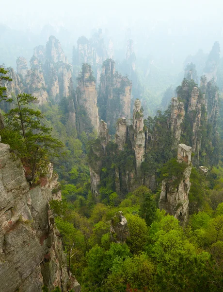 Zhangjiajie Nemzeti Park, Kína. Avatar-hegység — Stock Fotó