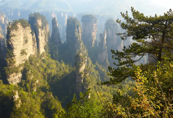 Parque Nacional Zhangjiajie, China. Montañas Avatar —  Fotos de Stock