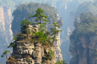 Zhangjiajie Milli Parkı, Çin. Avatar dağlar