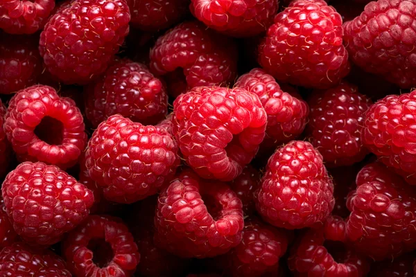 Raspberry fruit background — Stock Photo, Image