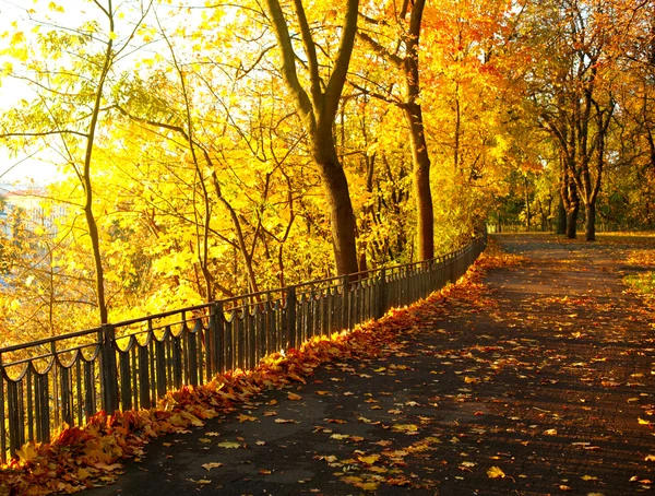 Parcul de toamnă — Fotografie, imagine de stoc