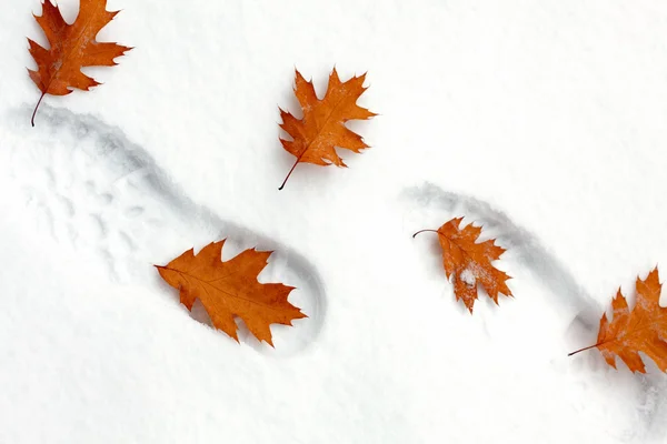 白雪皑皑的脚步声与秋天的树叶 — 图库照片