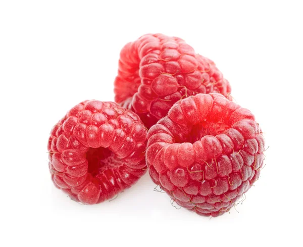 Raspberry fruit isolated on white background — Stock Photo, Image