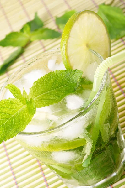 Cocktail mojito — Photo