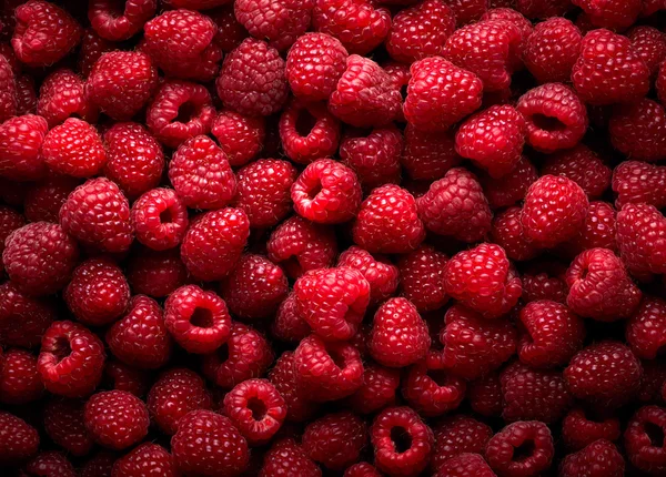 Fondo de fruta de frambuesa — Foto de Stock