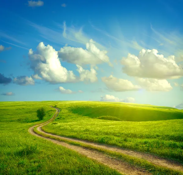 Paesaggio estivo con erba verde, strada e nuvole Foto Stock