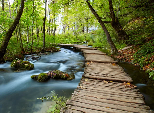 Passerella nel parco Foto Stock