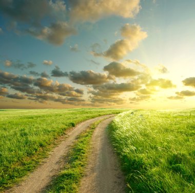 Yeşil çimenli, yollu ve bulutlu yaz manzarası