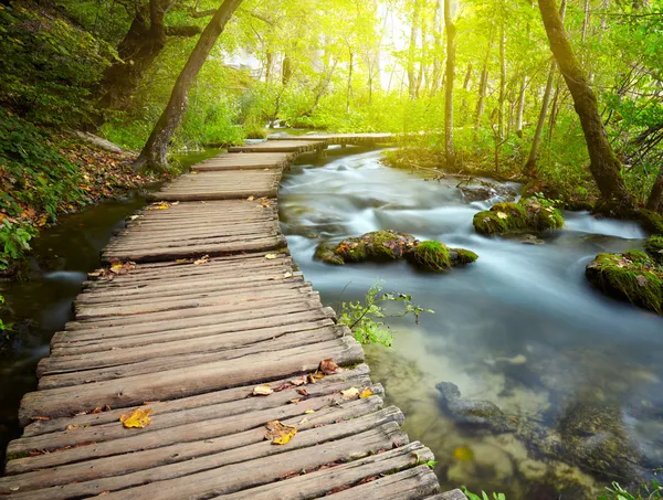 Boardwalk in the park — Stock Photo, Image