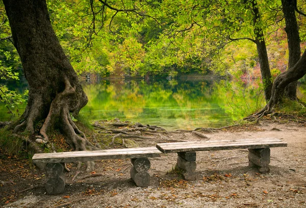 Deux bancs dans le parc — Photo