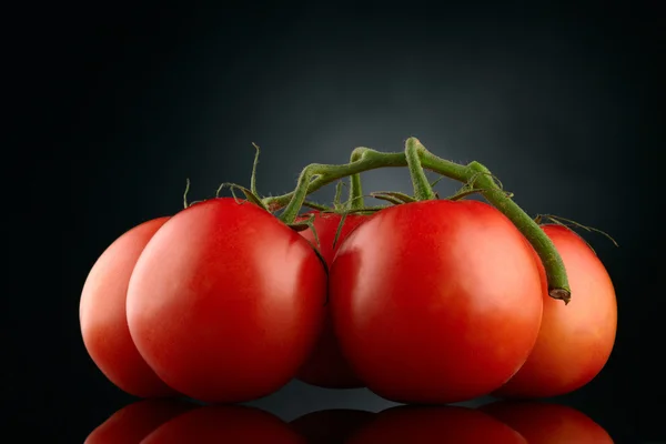 Tomates rouges sur fond noir — Photo