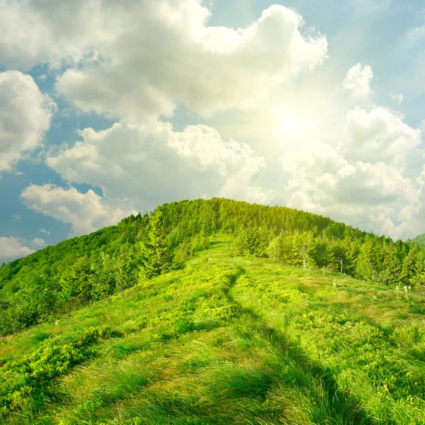 Zomer landschap — Stockfoto