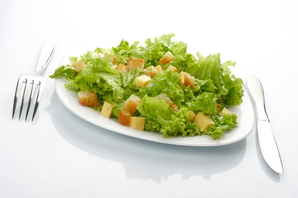 Großaufnahme von Salat auf weißem Teller — Stockfoto