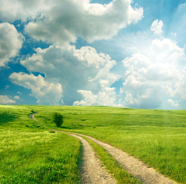 Summer landscape with green grass, road and clouds