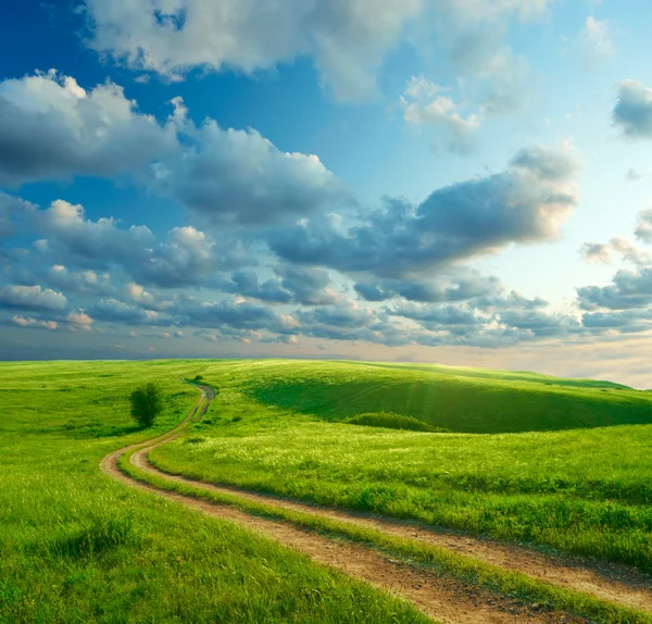 Paesaggio estivo con erba verde, strada e nuvole — Foto Stock