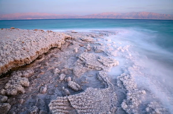 Ακτές της Νεκράς θάλασσας — Φωτογραφία Αρχείου