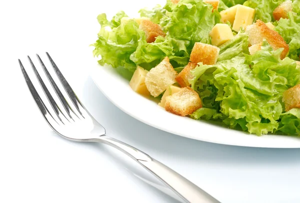 Salad on white plate — Stock Photo, Image