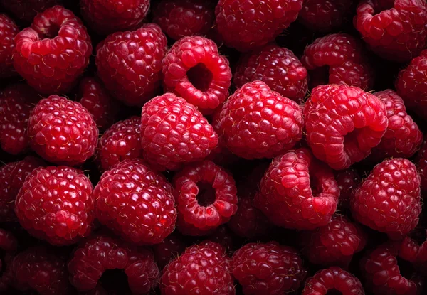 Hallon frukt bakgrund — Stockfoto