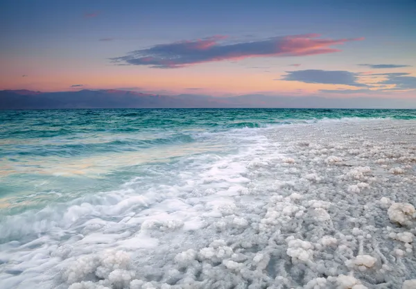 Dead Sea coastline — Stock Photo, Image