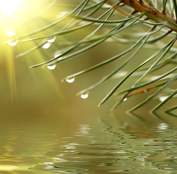 Gotas de agua reflejadas en el agua — Foto de Stock