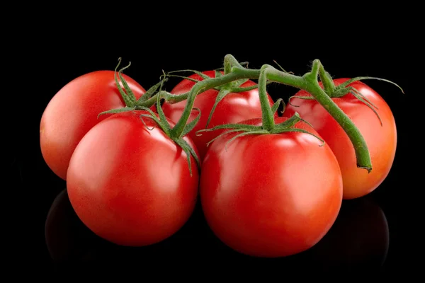 Red tomatoes on a black background — Stock Photo, Image