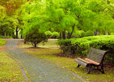 Yeşil Şehir Parkı. Shanghai, Çin
