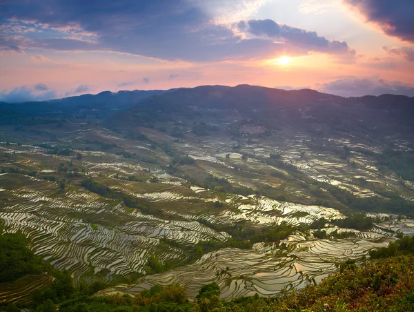 Sunset at rice terraces — Stock Photo, Image