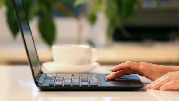 Woman hands and laptop — Stock Video