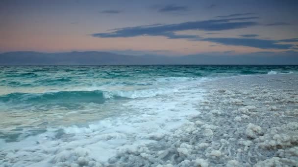 Береговая линия Мертвого моря — стоковое видео