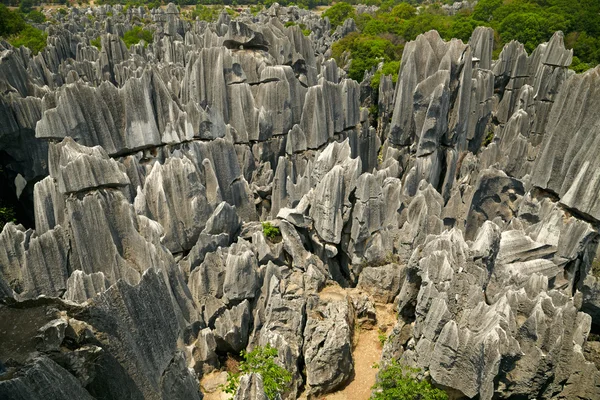 Bosque de piedra Shi Lin —  Fotos de Stock