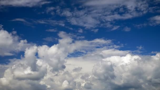 Vita moln kör över blå himmel. tidsinställd — Stockvideo