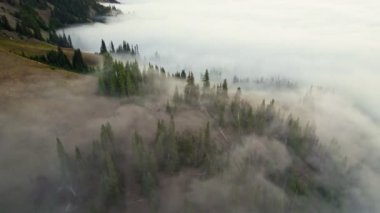 Olympic National Park, Washington, ABD 'deki Ridge Kasırgası. Yoğun sis ve bulutlarda dağlar ve ağaçlar. Hava aracı görüntüsü