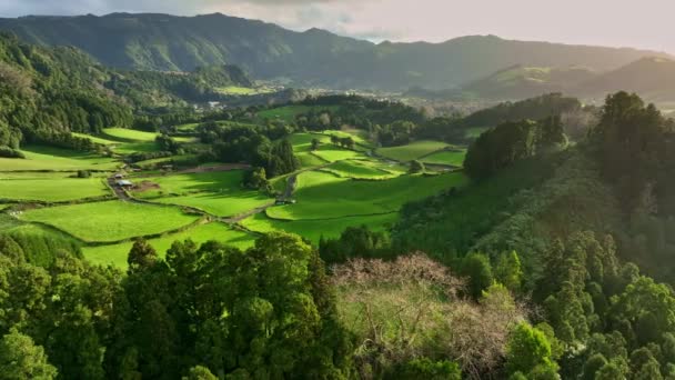 Luchtopname van groene weiden, bergen en Furnas stad op het eiland Sao Miguel, Azoren, Portugal. Azoren natuur op zonnige dag — Stockvideo