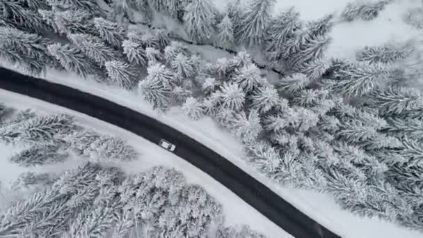 Повітря зверху вниз постріл білого автомобіля їде по дорозі в зимовий засніжений ліс. Подорож на машині взимку, їзда в погану погоду — стокове відео