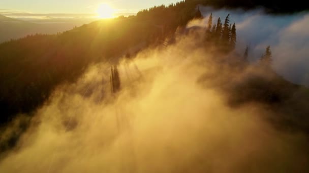 Volando en las nubes al atardecer. Hurricane Ridge en el Parque Nacional Olímpico, Washington, Estados Unidos. Lanzamiento aéreo de drones al atardecer en las montañas, rayos de sol irrumpen en la niebla. Atardecer increíble — Vídeo de stock