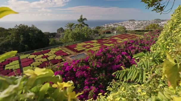 Vista ensolarada do Funchal a partir do Jardim Botânico da Madeira. Verdura e várias flores - natureza magnífica da Madeira, Portugal. Gimbal shot, 4K — Vídeo de Stock
