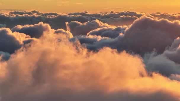 Flying through dense orange clouds illuminated by the setting sun. Gorgeous sunset in the sky. Aerial epic sunset view with clouds — стоковое видео