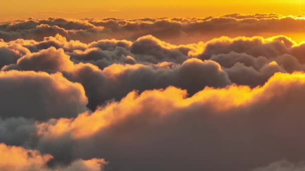 天空中的金色落日笼罩在浓密的云幕之上.空中的太阳映照在云彩之上 — 图库视频影像