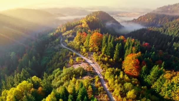 Colorful autumn in the mountains. Aerial view of morning foggy autumn mountains with yellow and red trees. UHD, 4K. — Vídeo de stock