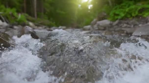 森の中で荒れ狂う山の川のスローモーションショット 石の間を流れる渓流の清流のジンバルショット — ストック動画