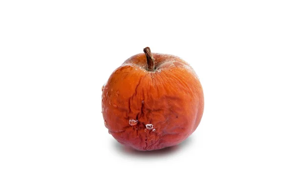 Rotten apple — Stock Photo, Image