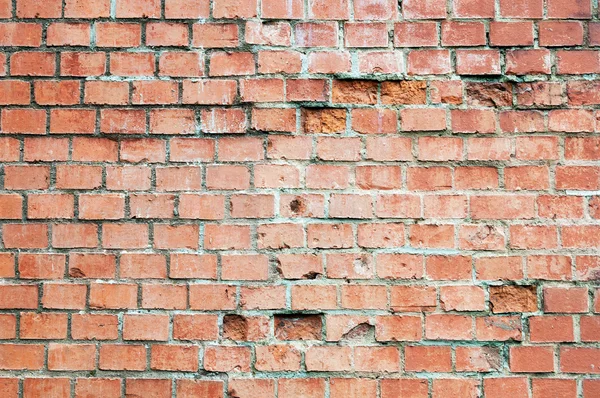 Brick wall texture — Stock Photo, Image