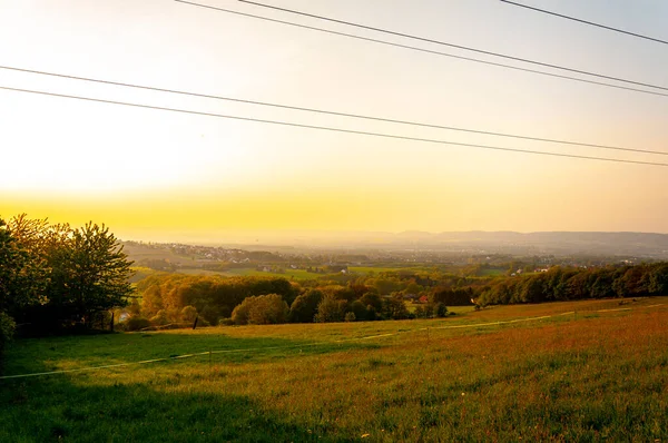 Красиве і мирне поле з електричними передавачами в сонячний день — стокове фото