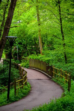 Bad Oeynhausen şehrinin yakınındaki Aqua Magic adlı doğal parktaki yürüyüş köprüsü.