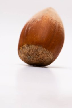 Kabuğu beyaz arkaplanda izole edilmiş fındık yakın