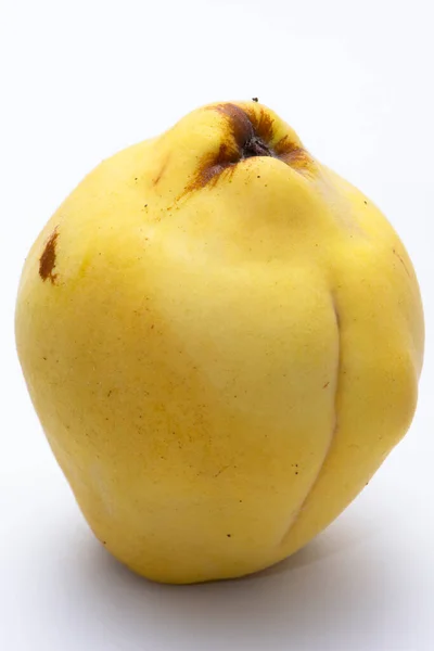 Organické quince nebo Cydonia izolované na bílém pozadí — Stock fotografie