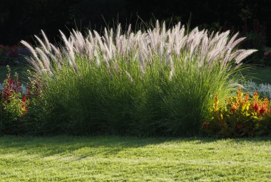 Gardening_2