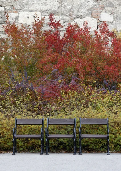 Autumnpark4 — ストック写真